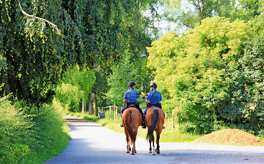 Auch die Pferde der berittenen Polizei Bern sind teilweise im NPZ Bern stationiert. | © NPZ Bern