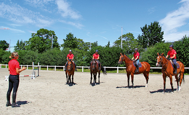 Die Ausbildung von Pferden, Pferdesporttreibenden und Pferdeberufsleuten  ist ein zentrales Anliegen des NPZ Bern. | © NPZ Bern