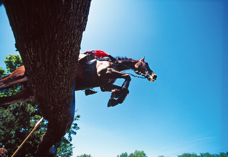 Informieren Sie sich genau: Manche Pferdeversicherungen schliessen gewisse Sportdisziplinen aus der Deckung aus. | © imago