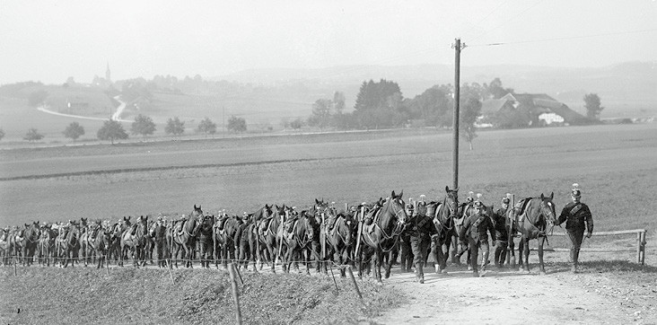 La cavalerie suisse pendant la Première Guerre mondiale | © Confédération suisse