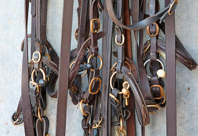 Blick in die Sattelkammer: Pferdesportzubehör gebraucht kaufen, schont Ressourcen | © imago