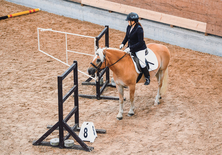 Bei Special Olympics Wettkämpfen wird darauf geachtet, dass die Pferde gut ausgebildet sind.