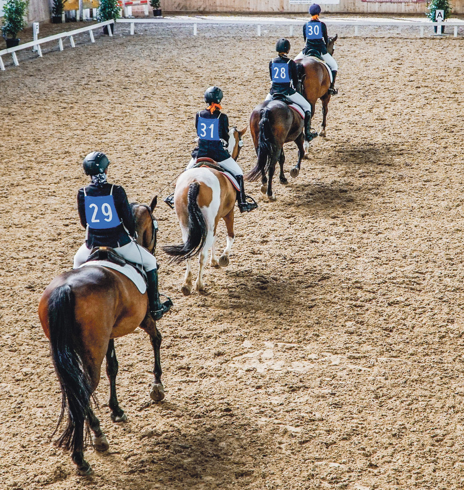 Chaque équipe de juniors monte le dressage par équipe avec deux propres chevaux et deux chevaux étrangers.