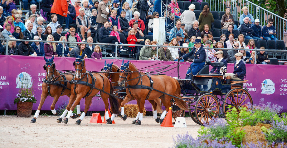 Les chevaux d’attelage à 4 sont eux aussi minutieusement scrutés avant, pendant et après chaque épreuve des concours internationaux. (image: Nicole Basieux)