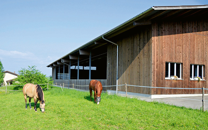 Der Rohstoff Holz ist beim Bau von Reithallen und Pferdeställen beliebt. Wichtig ist darauf zu achten, dass wo immer möglich einheimische Hölzer eingesetzt werden. Dadurch wird verhindert, dass Holz aus Urwaldraubbau den Weg in Schweizer Gebäude findet. (Bild: zVg) 