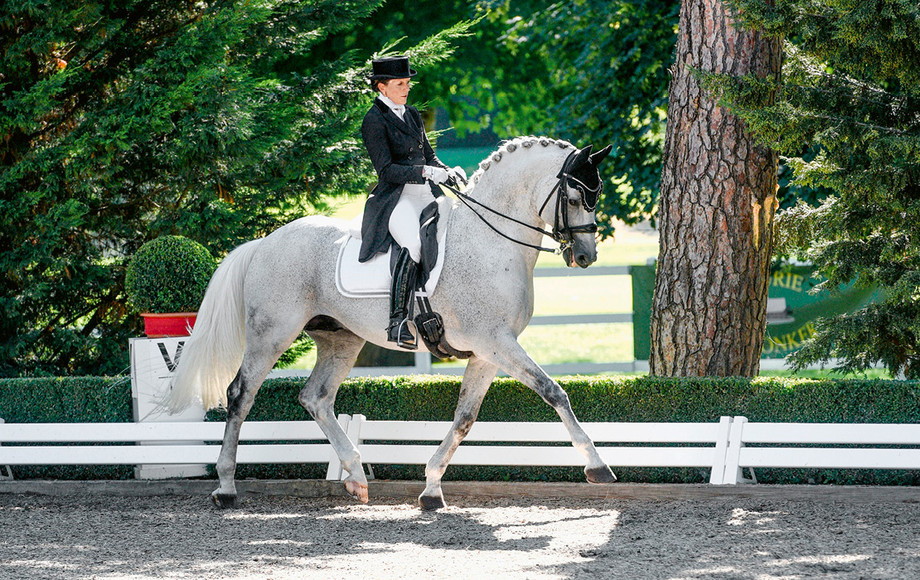 Peter Christen: «Le dressage a plutôt la fonction de gymnastiquer le cheval.» Photo: Anna-Mengia Aerne-Caliezi est à nouveau devenue championne suisse de la catégorie Elite avec son imposant étalon gris de 17 ans Raffaelo va Bene.