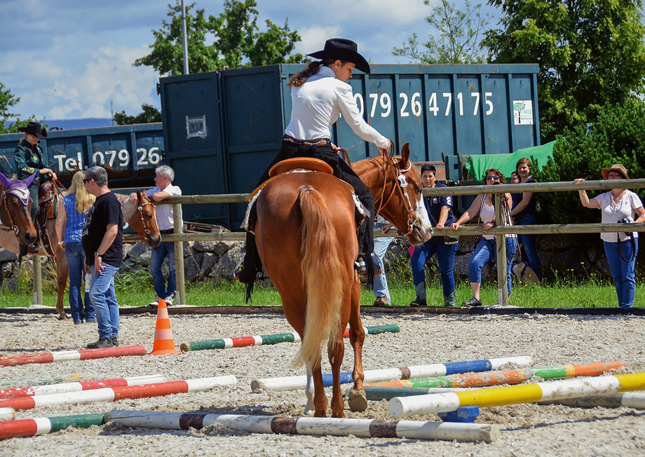 Das vierjährige Ausbildungspferd Sunny wird von Nadine Rindlisbacher behutsam in den Sport eingeführt. (Foto: zVg)