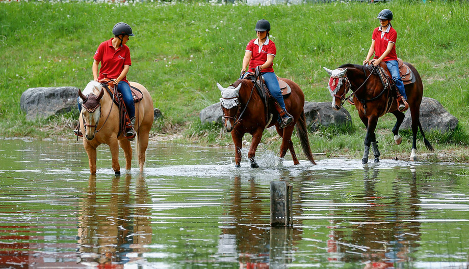 Übungen im Gelände gehören zu den Inhalten der überbetrieblichen Kurse der angehenden Pferdefachpersonen EFZ Fachrichtung Westernreiten. (Foto: Sascha Stoll)