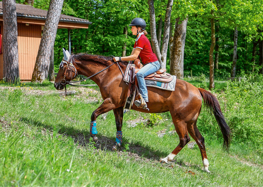 Des exercices sur le terrain font partie du contenu des cours interentreprises pour les futurs professionnels du cheval CFC orientation «Monte western». (Photo: Sascha Stoll)
