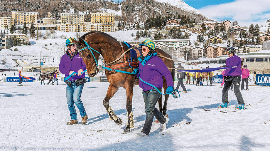 Am Renntag braucht es immer zwei Führer für die Skikjöringpferde. Und wenn die Aufregung kurz vor dem Start steigt, haben diese manchmal alle Hände voll zu tun, um die unberittenen Pferde im Zaum zu halten. Foto: turffotos.ch
