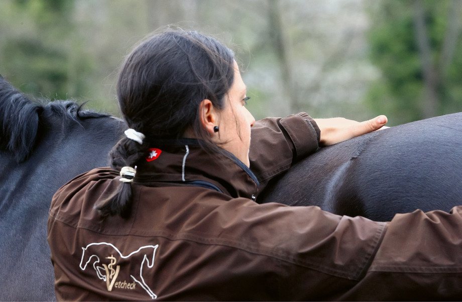 Avec quelques gestes experts, la Dr méd. vét. Selma Latif contrôle si le dos du cheval présente une hypersensibilité ou une mobilité réduite. (photo: T. Aklin)
