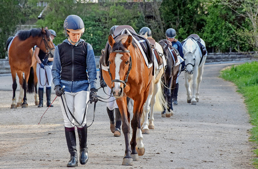 La manière correcte de mener un cheval à la main est également enseignée. Photo: A. Schneider