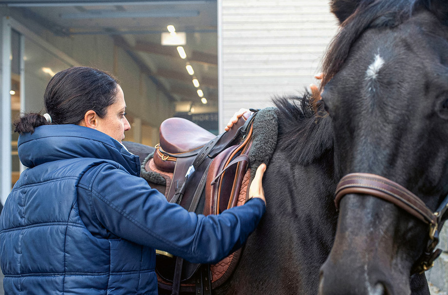 Das Überprüfen des Sattels ist ein wichtiger Bestandteil der Beurteilung von Bewegungsproblemen beim Pferd. Foto: T. Acklin