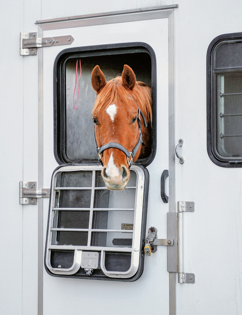 Le transport est un des facteurs de stress des chevaux de compétition. (Photo: iStockphoto)