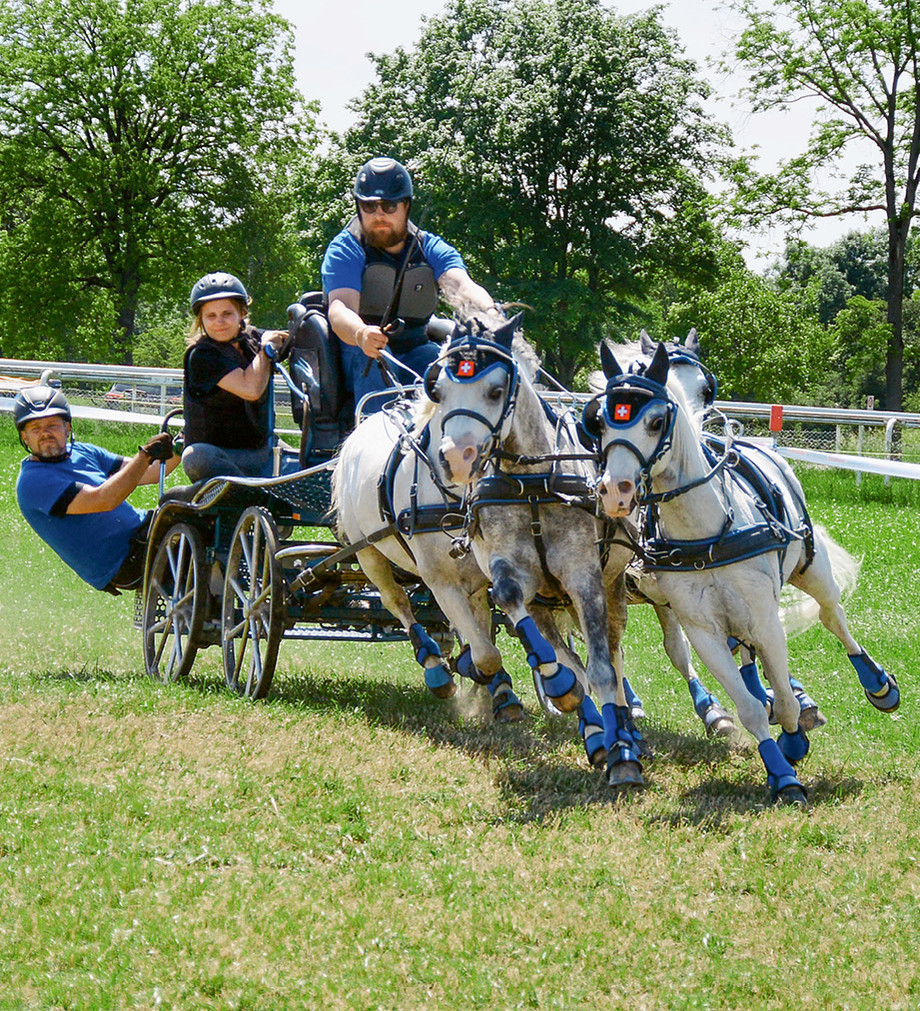 Dominic Falk war 2019 Mitglied des WM-Bronzeteams der Ponys in Ungarn. (Foto: Claudia A. Spitz)