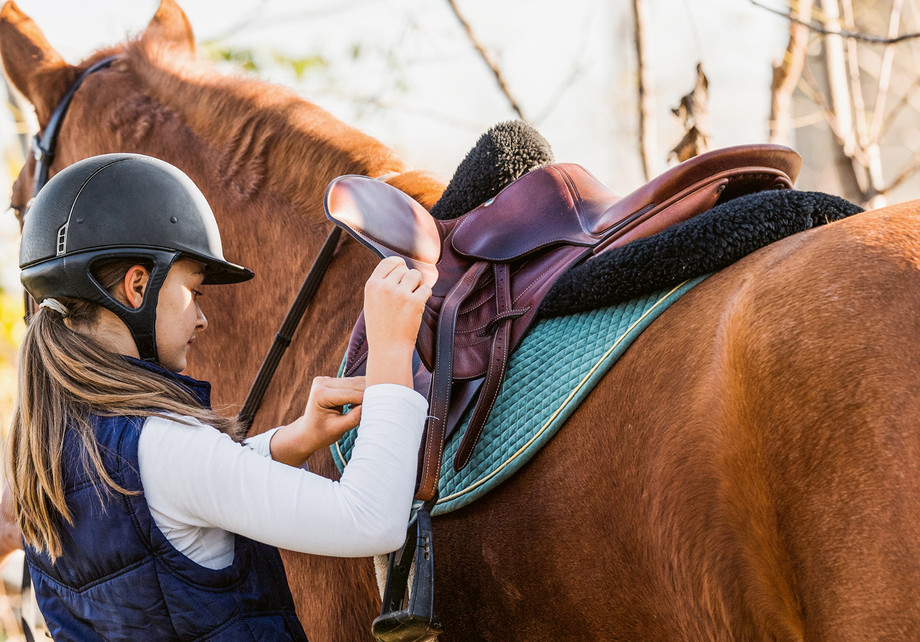 Das Überprüfen der Ausrüstung und des Gesundheitszustands des Pferdes vor und nach  dem Reiten ist fester Bestandteil aller Brevets. (© stock.adobe.com)