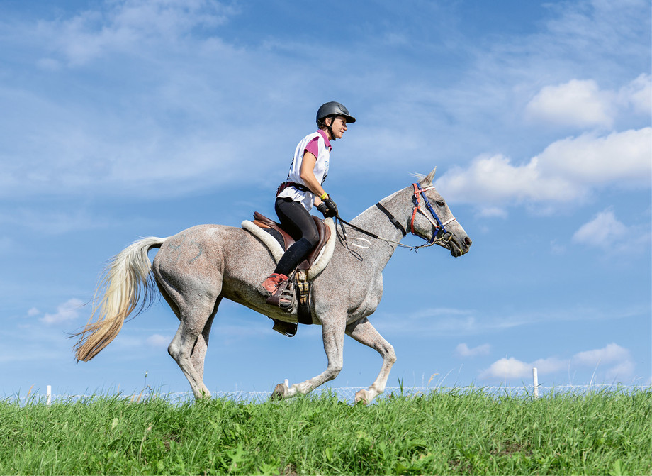 Pferd und Reiterin in Harmonie an einem Endurance-Rennen.  © zVg