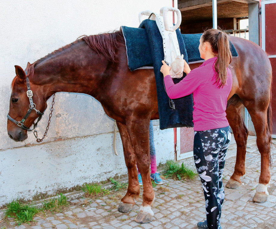 Im Diplomkurs «Voltige» lernen die Kandidatinnen und Kandidaten unter anderem auch, wie man das Pferd für das Voltigieren vorbereitet.  |  © SVPS