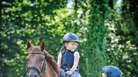 Ausbildung und Wissen kann Unfällen im Pferdesport vorbeugen
