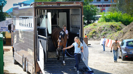 Transport de chevaux et passage de douanes