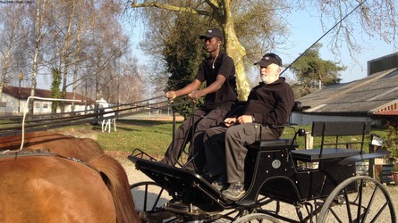 Der fahrende Mentor: «Pferde sind hervorragende Therapeuten»