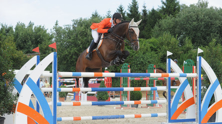 Studie über die Swiss-Breed-Classic-Springen 2008: 7 Prozent der Pferde schafften es in die Kategorie 140 bis 145 cm