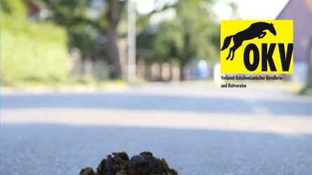 OKV lanciert Kampagne gegen verwaiste Pferdeäpfel im Quartier