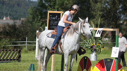 Gymkhana: Geschicklichkeit von Pferd und Reiter