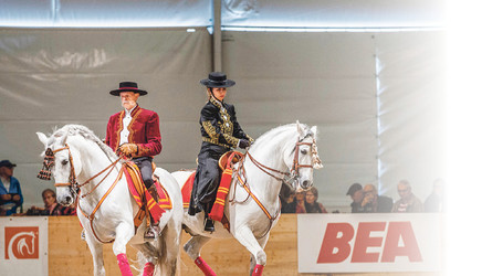 Das «Who’s who» der Pferdebranche versammelt sich in Bern