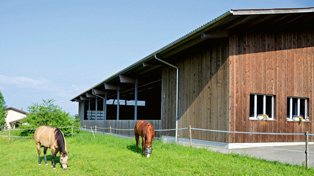 Umweltmassnahmen in Pferdeställen und Reitanlagen