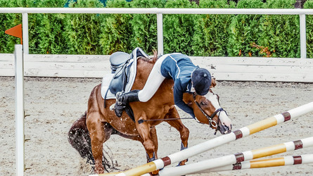 La commotion cérébrale: un danger souvent sous-estimé dans les sports équestres