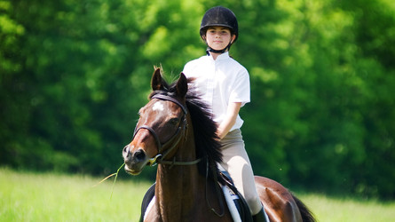 Vous avez un CFC professionnel du cheval et désirez devenir moniteur J+S Sport des Jeunes?