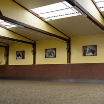 In der lichtdurchfluteten Reithalle hängen Bilder aller Pferde, die das Leben von Beatrice Bürchler-Keller geprägt haben. /Foto: Andrea Heimgartner