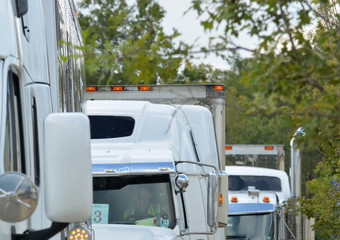 10 camions amènent les premiers 67 chevaux de l’aéroport au TIEC