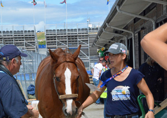 Caroline Häcki avec le cheval d' Antonella Joannou, Dandy de la Roche CFM CH