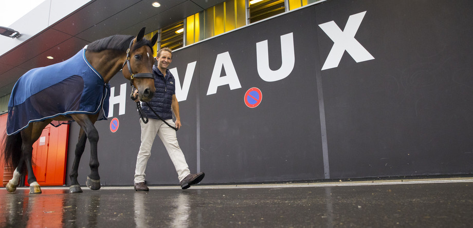 Arrivée à l'hôtel pour chevaux à l'aéroport de Liège | © FEI/Leanjo de Koster