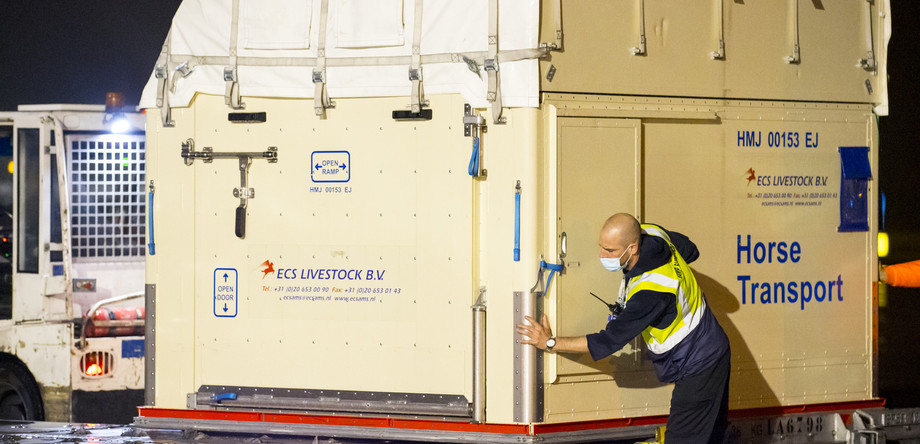 Laden der Flugboxen ins Flugzeug am Flughafen Lüttich | © FEI/Leanjo de Koster