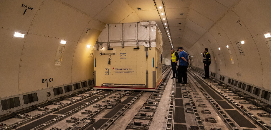 Flugboxen im Innern des Flugzeugs | © FEI/Leanjo de Koster