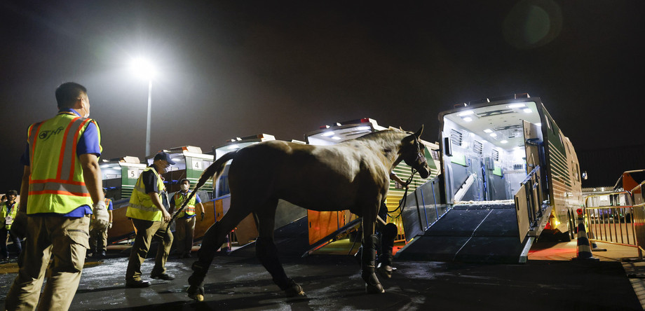 Chargement des chevaux dans les camions à l'aéroport de Tokyo Haneda | © FEI/Yusuke Nakanishi