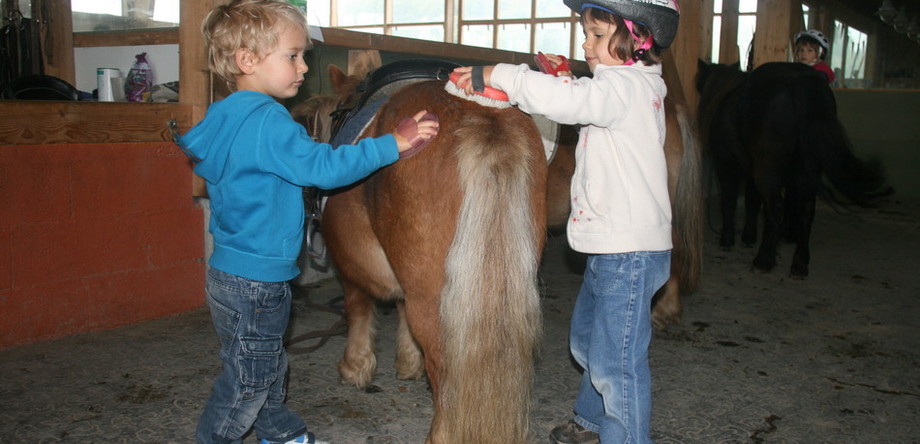 Kinder putzen ein Pony