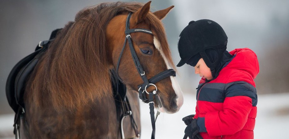 Schon die 5- bis 10-Jährigen sollen die Möglichkeit haben, den Umgang mit Pferden korrekt zu erlernen.