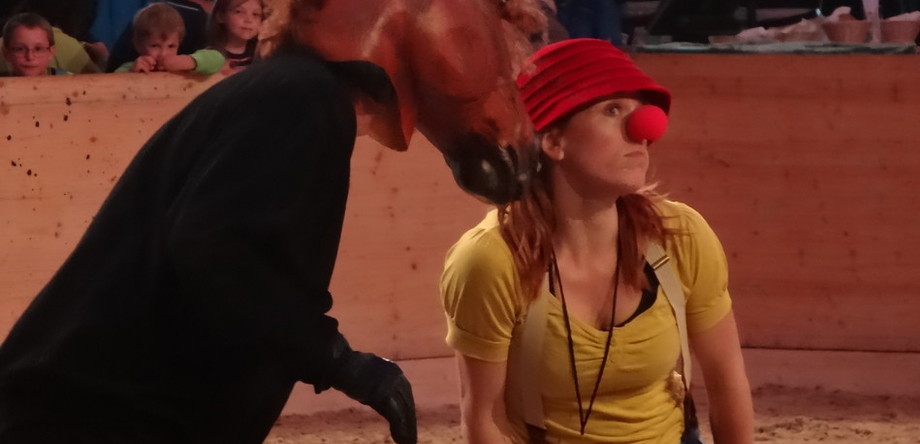 Schauspieler machten dem Publikum klar, wie wichtig eine solide Ausbildung für den Umgang mit Pferden ist.