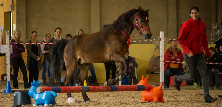 (Bild/Photo: S. Ruffieux, horsebalance.ch)
