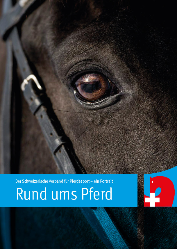 買取り実績 Pferdefreunde 2020  - Broschueren-Kinder-Kalender